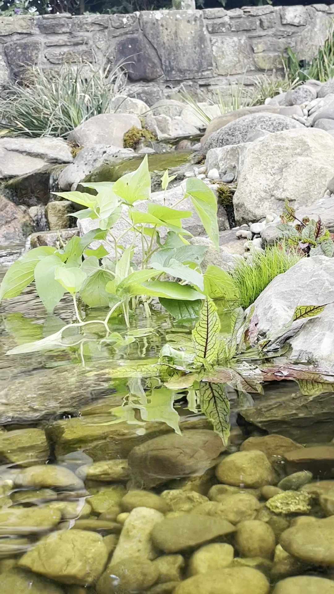Garden Water Features Manchester