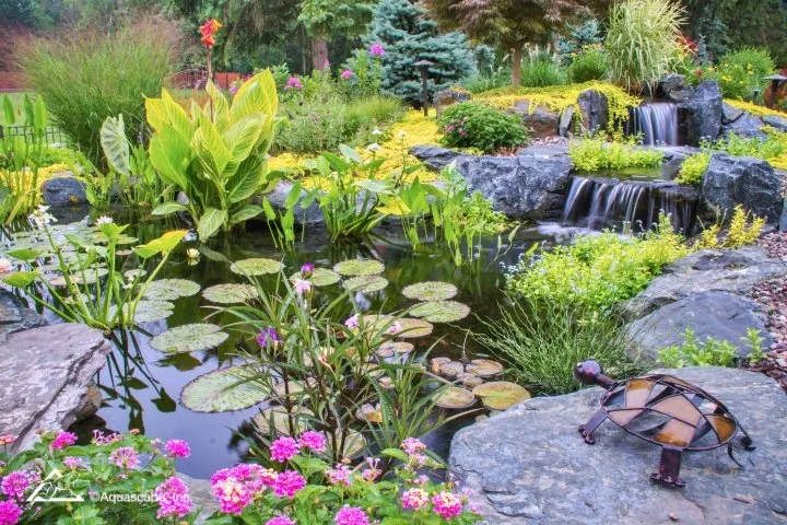 Olympian Water Gardens