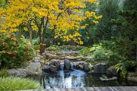 Olympian Water Gardens