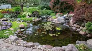 Pond Builders News Manchester