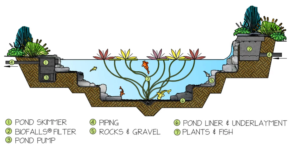 Pond Builders News Manchester