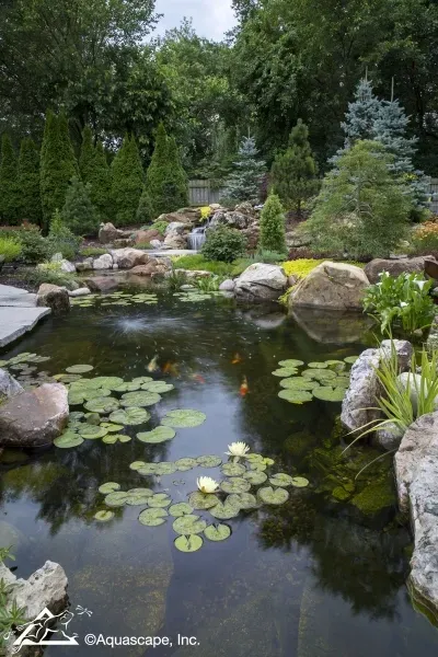 Pond Builders News Manchester