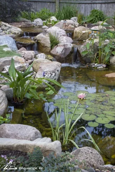 Pond Builders News Manchester