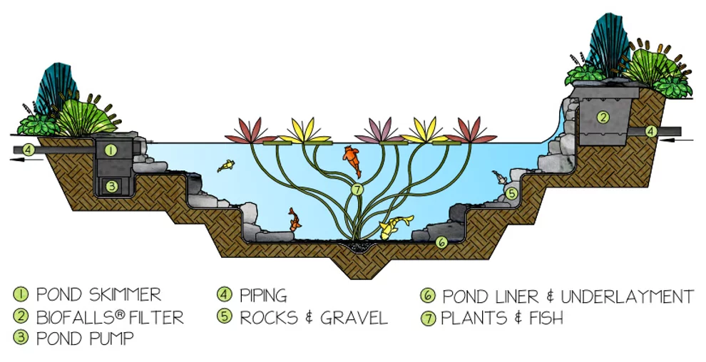 Ecosystem Ponds Manchester