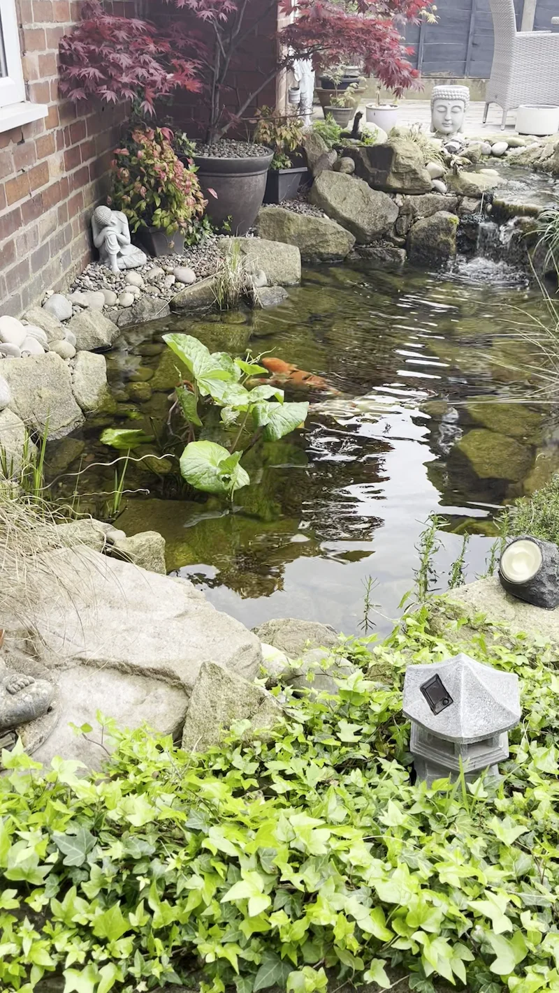 Wildlife Ponds & Natural Garden Ponds Manchester
