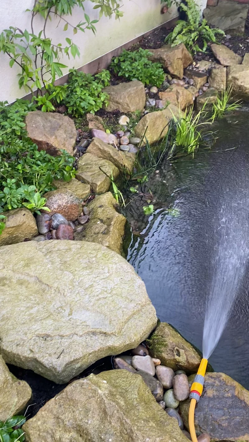 Wildlife Ponds & Natural Garden Ponds Manchester