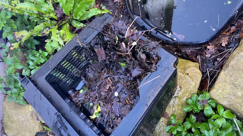 Wildlife Ponds & Natural Garden Ponds Manchester