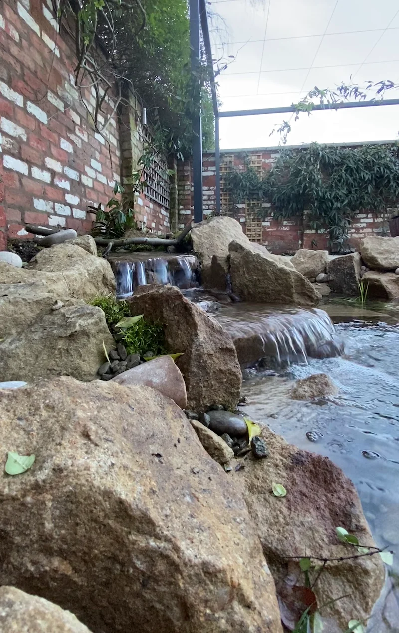 Wildlife Ponds & Natural Garden Ponds Manchester